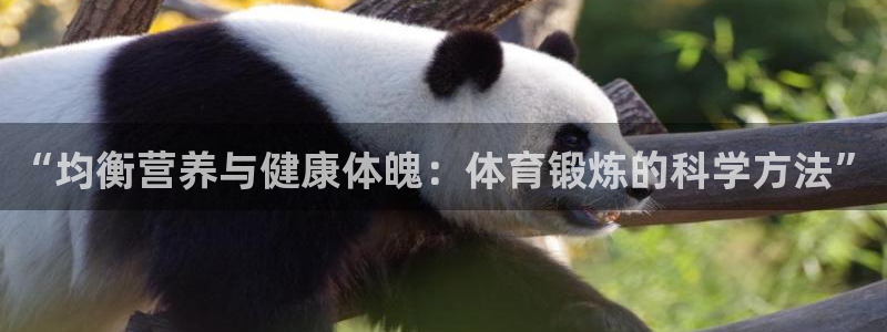 中欧体育官网入口