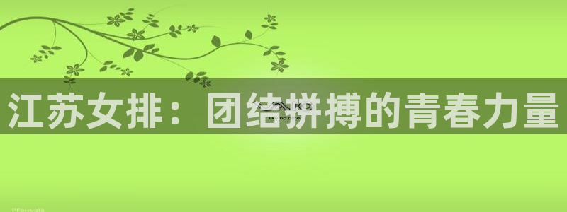 中欧体育下载