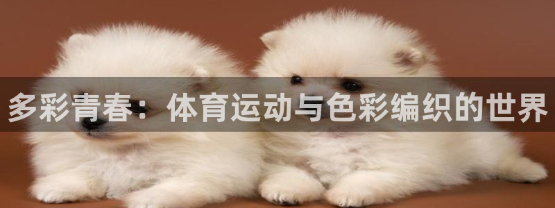 中欧体育最新地址