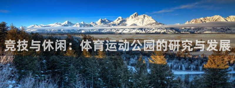 中欧体育官网入口：竞技与休闲：体育运动公园的研究与发展