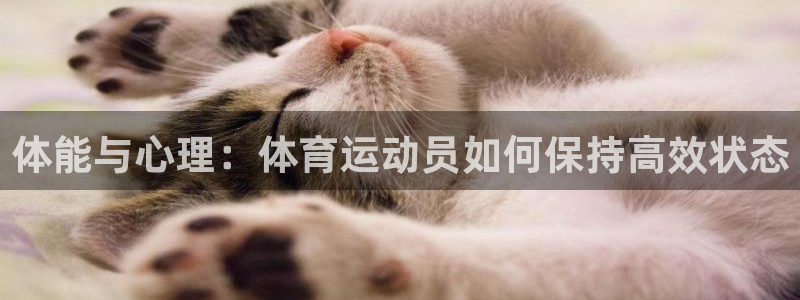 zoty中欧体育网址多少：体能与心理：体育运动员如何保持高效状态