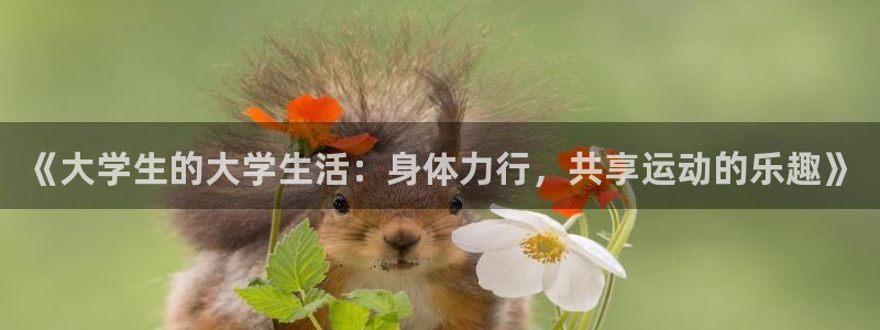 中欧体育在线