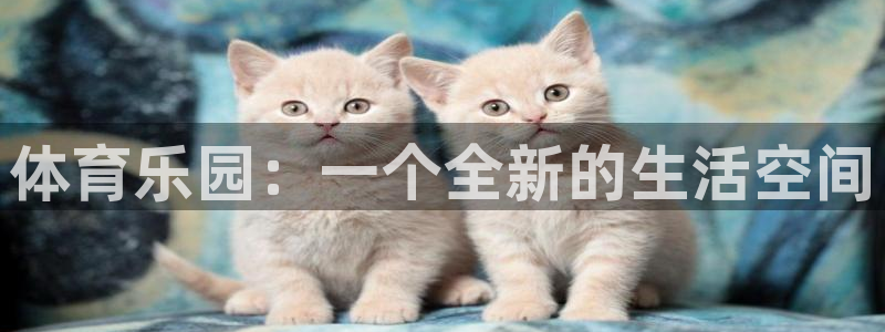 中欧体育(zoty)官网