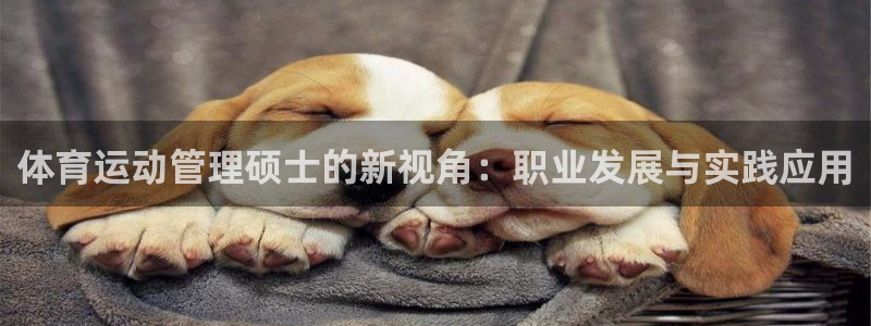 zoty中欧体育平台