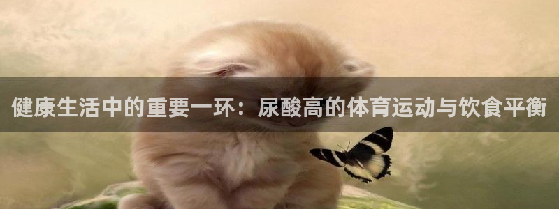 kok中欧体育
