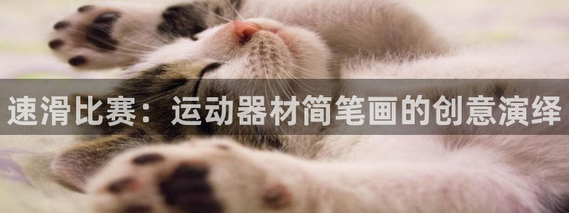中欧体育官网入口