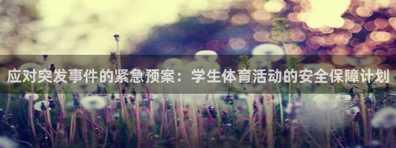 中欧体育zoty下载：应对突发事件的紧急预案：学生体育活动的安全保障计划