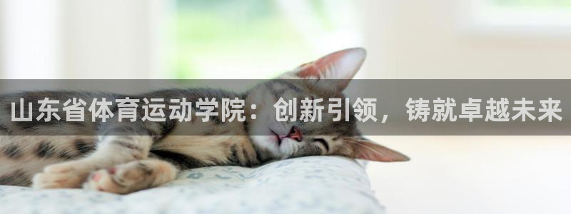 中欧体育平台：山东省体育运动学院：创新引领，铸就卓越未来